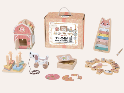 Montessori-Lernbox für Kinder von 19 bis 24 Monaten mit Lernspielzeug