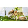 MoMi DEX Kinderlaufrad - Beige